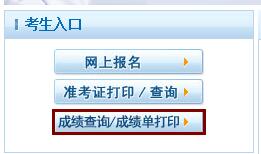 2019年全国执业护士考试成绩查询预计7月23日开始